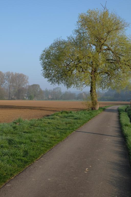 B&B Silentium Tielt Buitenkant foto