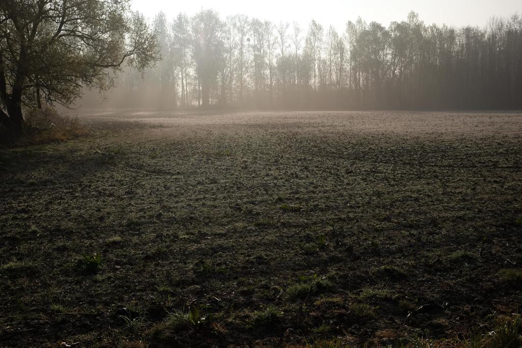 B&B Silentium Tielt Buitenkant foto