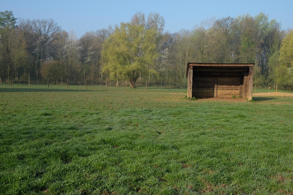 B&B Silentium Tielt Buitenkant foto